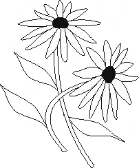 a flower design for the stamp n chip chip carving kit